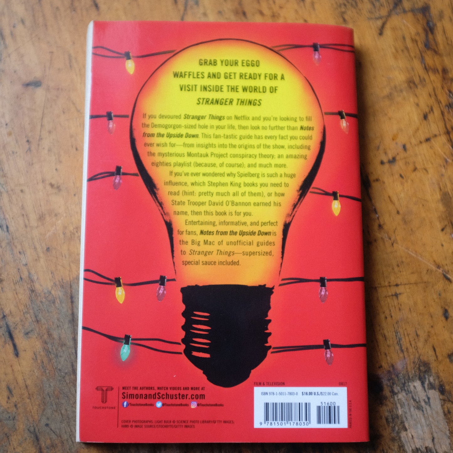 Notes From The Upside Down: An Unofficial Guide To Stranger Things