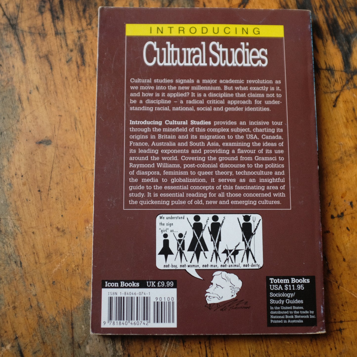Introducing Cultural Studies by Borin Van Loon