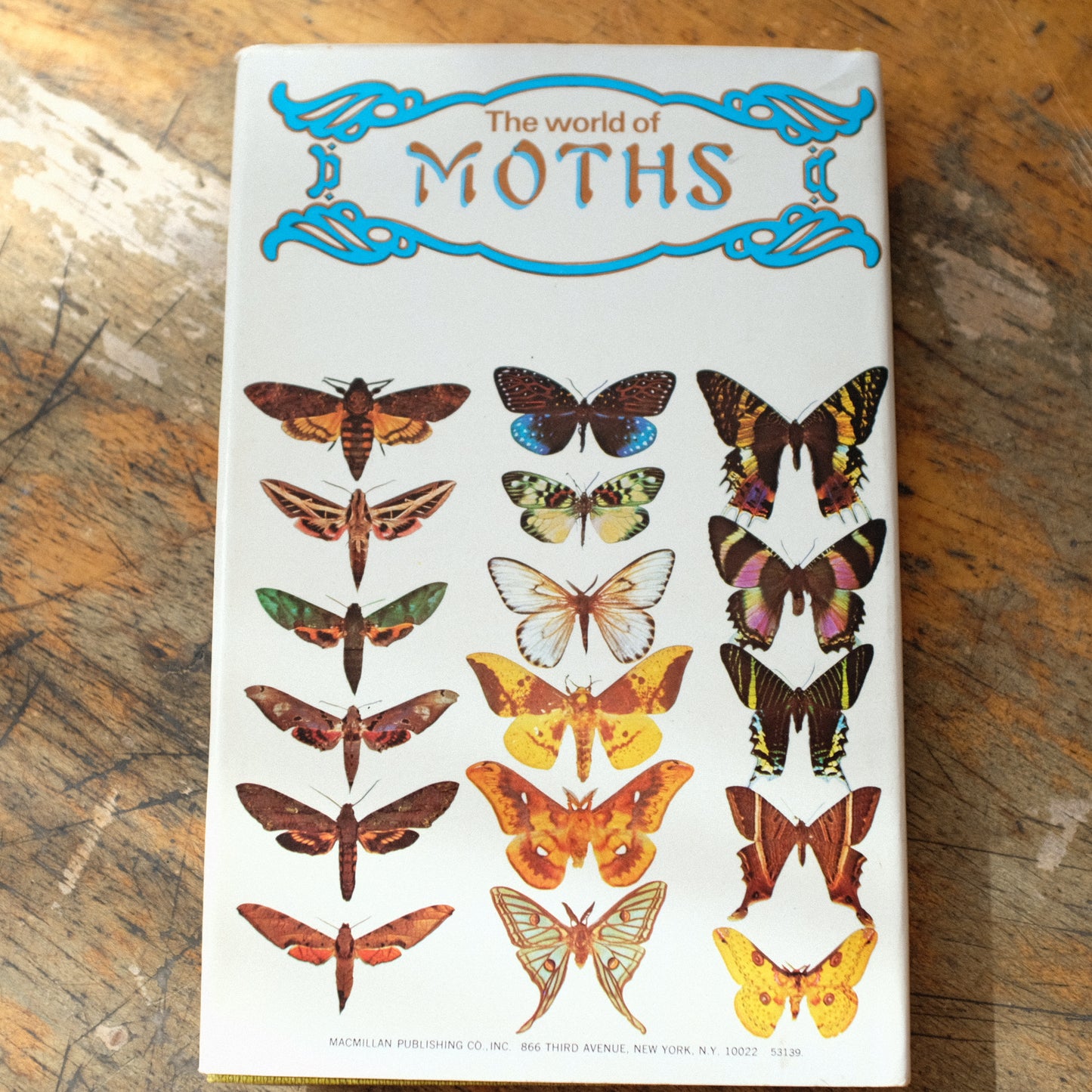 The World of Moths by Dickens & Storey