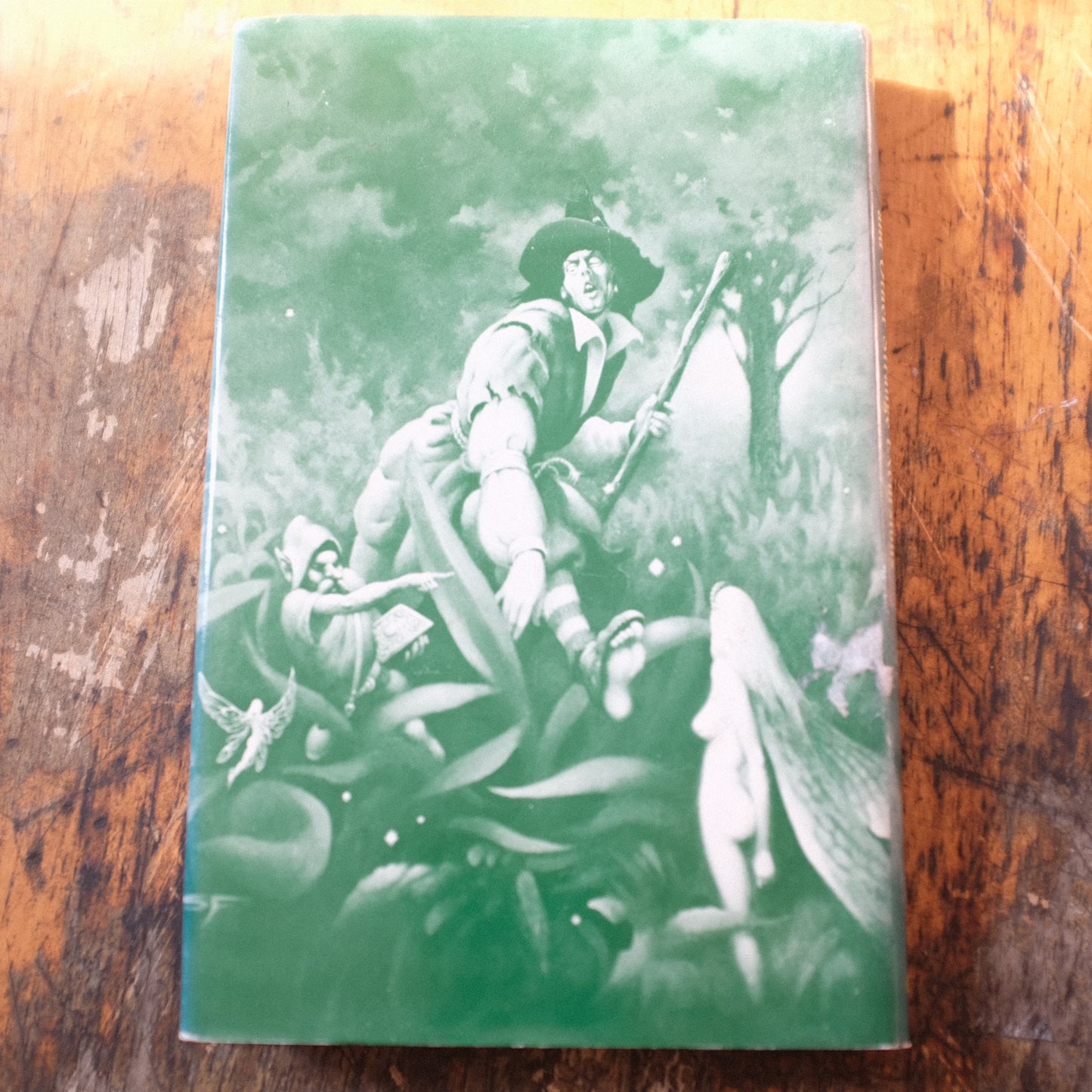 Tom O'Bedlam's Night Out by Darrell Schweitzer