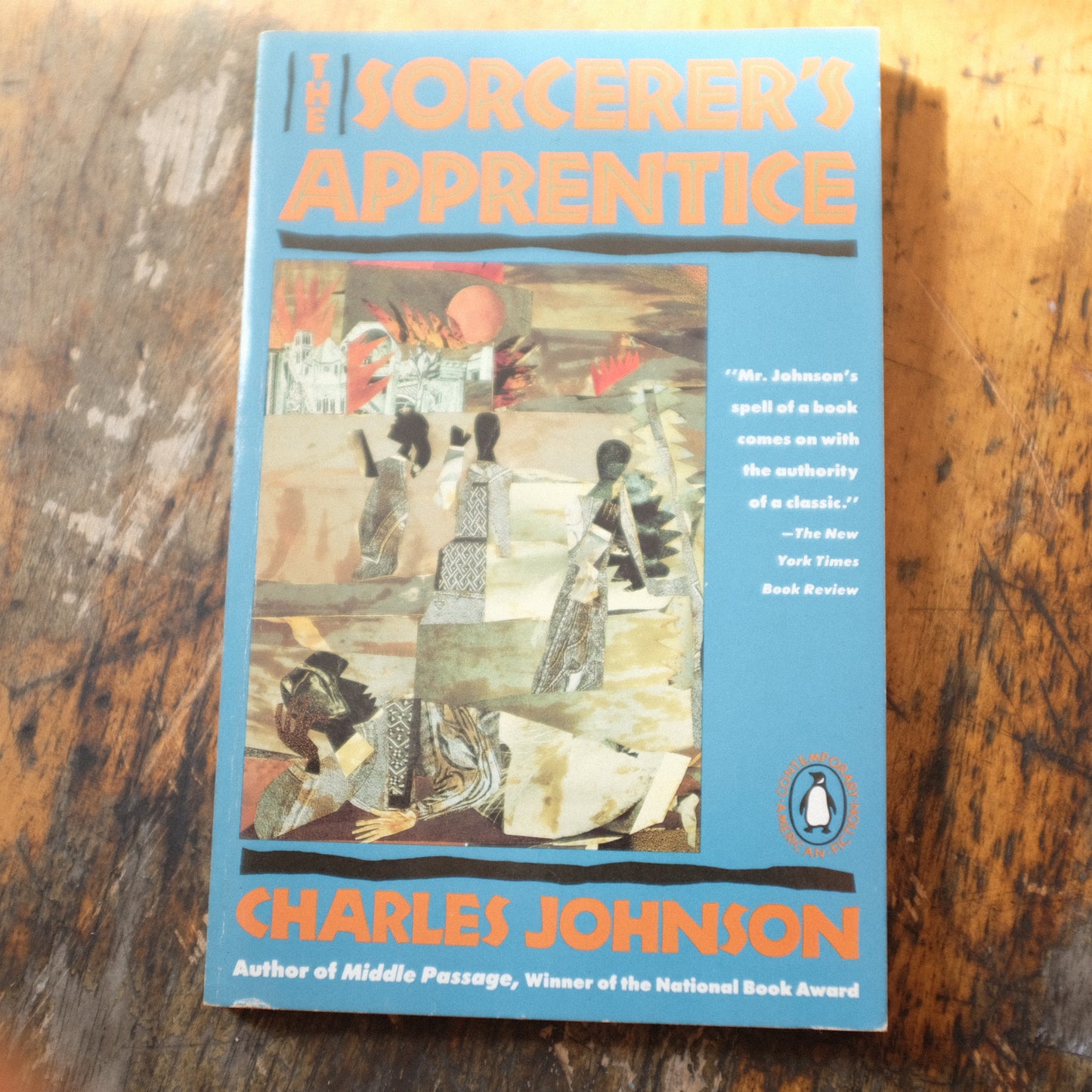 Sorcerer's Apprentice by Charles Johnson