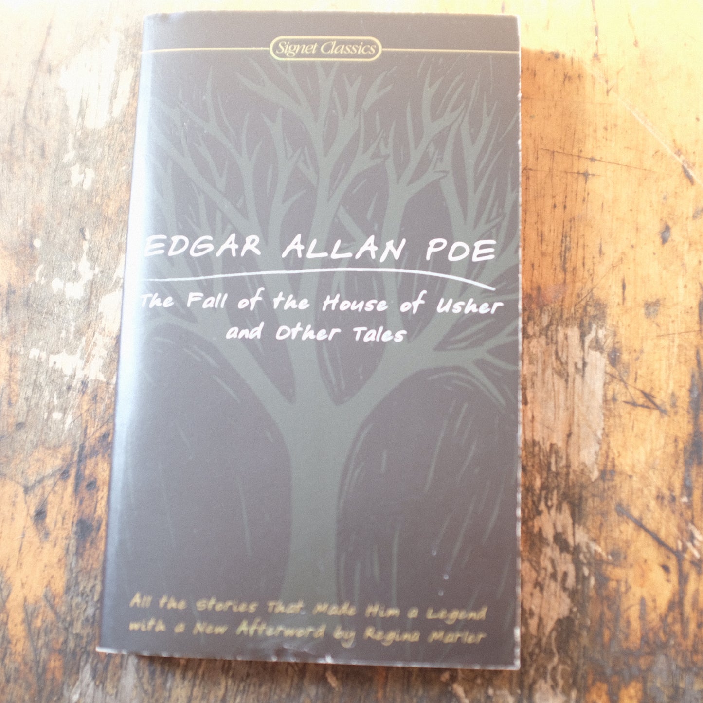 Fall of the House of Usher and Other Classics by Poe