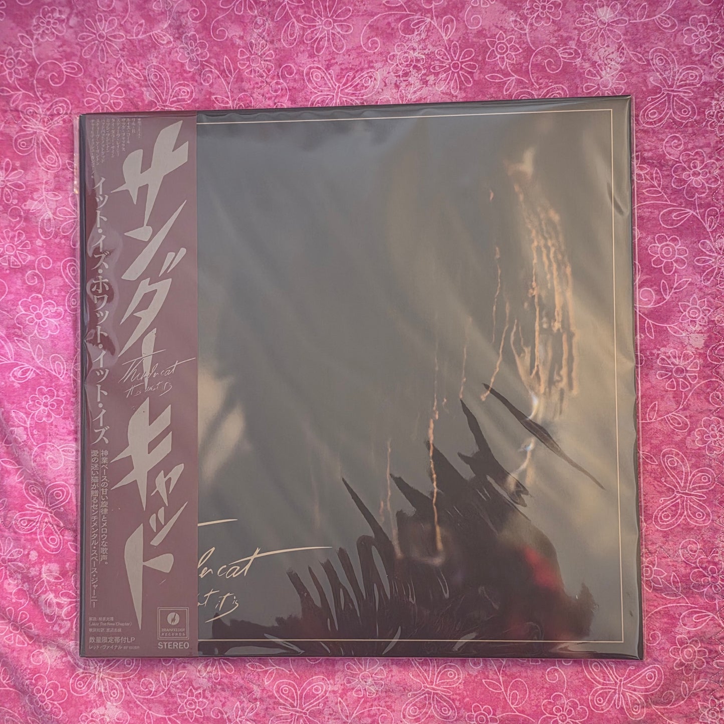 Thundercat/It Is What It Is BF100BR New LP