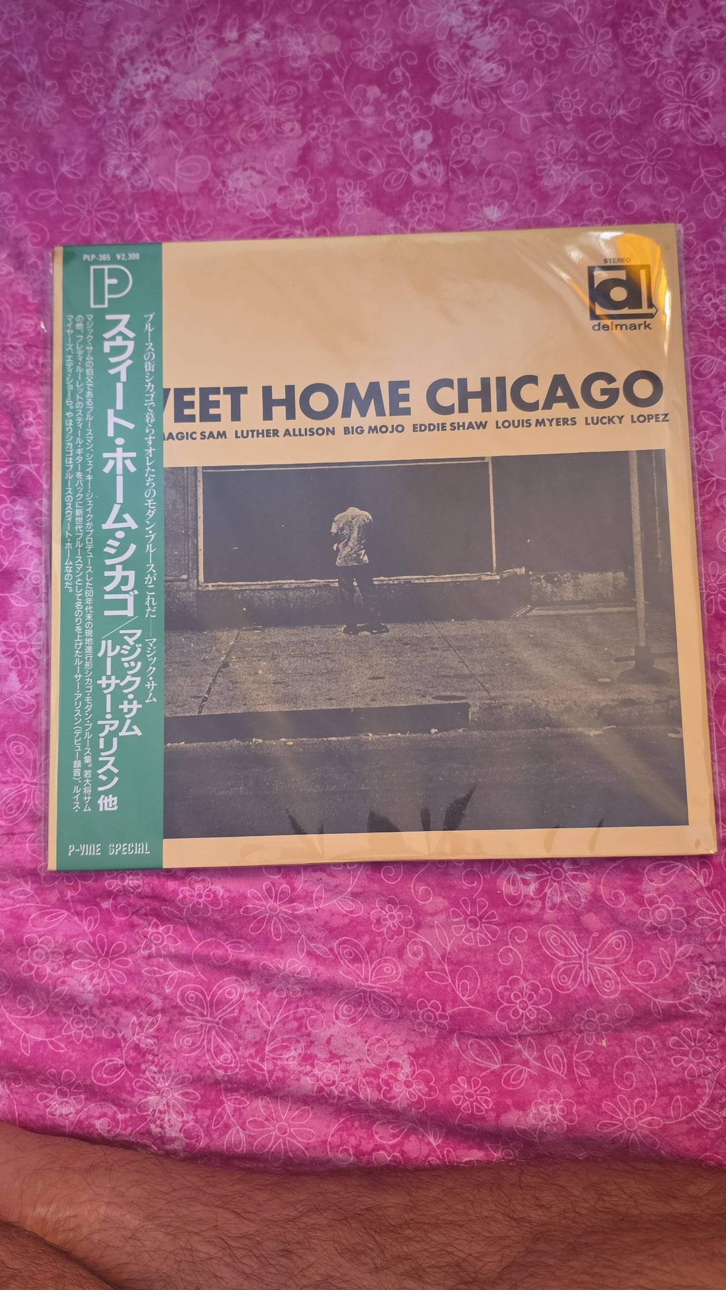 Sweet Home Chicago: The Blues Of Magic Sam, Luther Allison, Big Mojo, Eddie Shaw, Louis Myers, Lefty