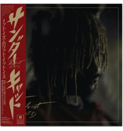 Thundercat/It Is What It Is BF100BR New LP