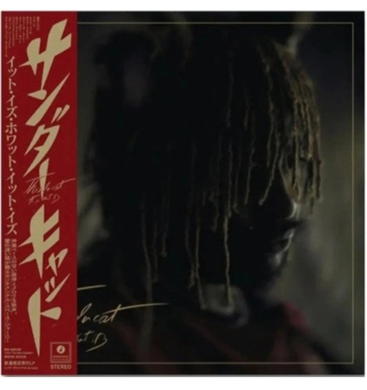Thundercat/It Is What It Is BF100BR New LP