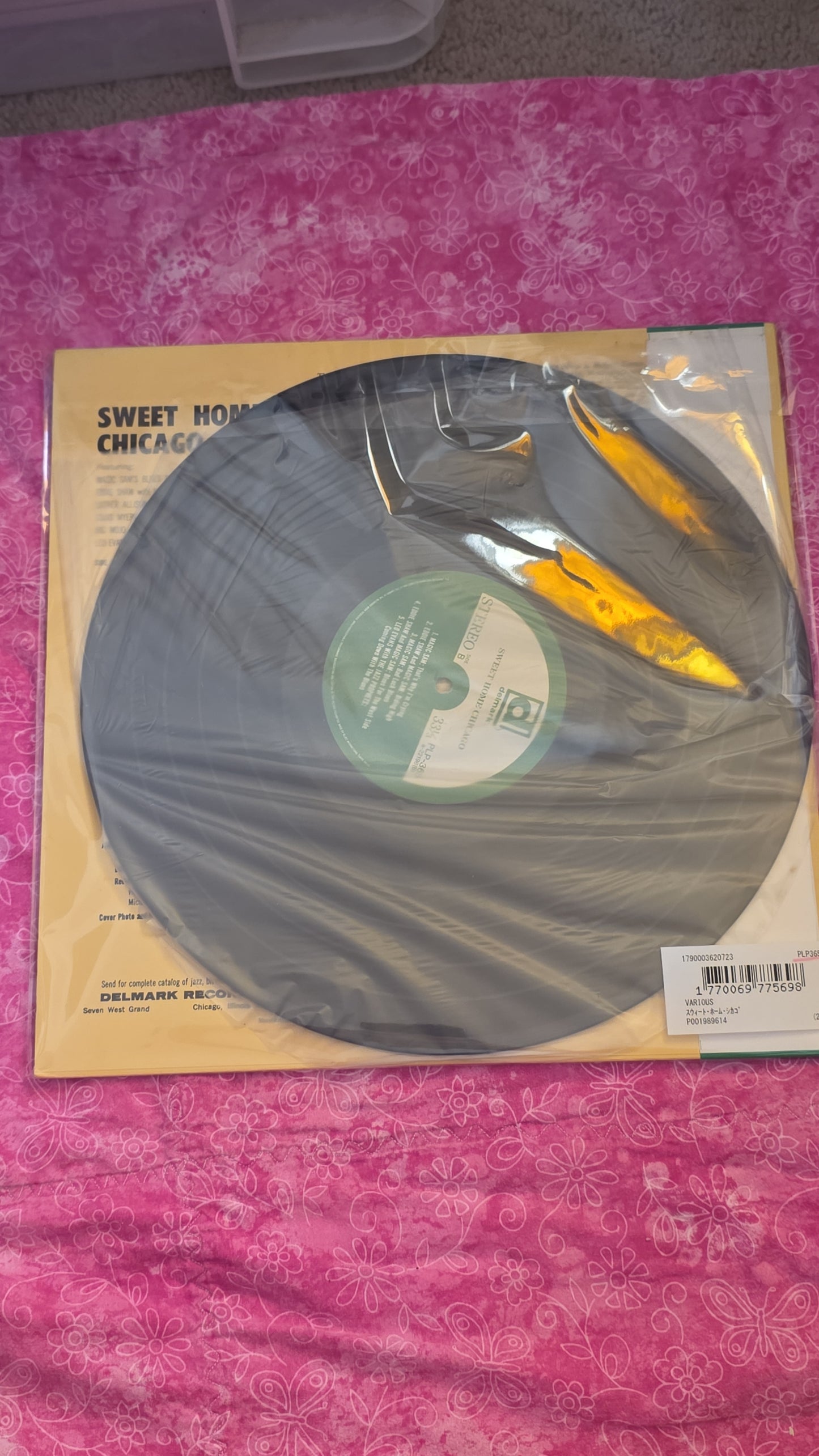 Sweet Home Chicago: The Blues Of Magic Sam, Luther Allison, Big Mojo, Eddie Shaw, Louis Myers, Lefty